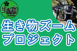 生き物ズームプロジェクト