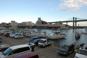 小田原漁港