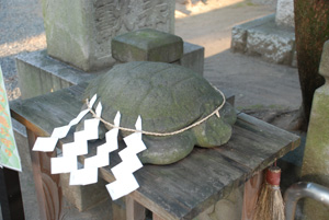 小田原松原神社の石亀