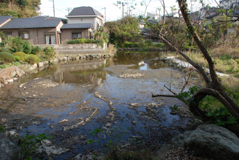 田辺が池
