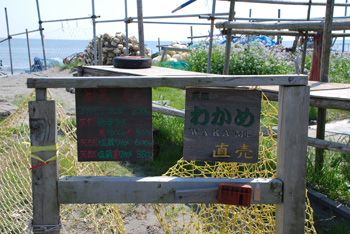 <B>わかめの直売</B>
