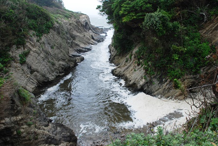 荒崎海岸のドンドンビキ
