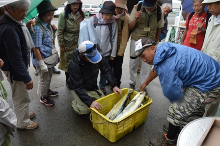 本日の釣果