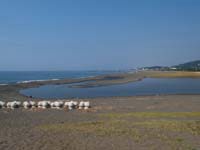 虹ヶ浜全景（８月14日）