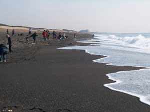 活動風景‐波高し