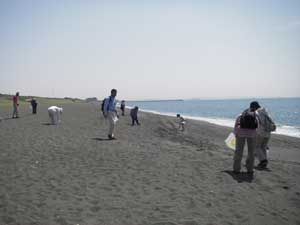 寂しい海岸
