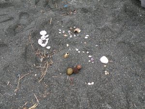 少なめ
