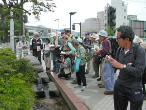 駅前の湧水