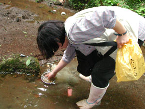 黄鉄鉱を探す