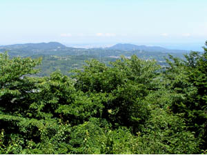 湘南平と鷹取山