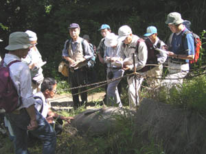 箱根溶岩の大きな転石