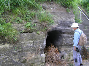 火山灰を挟むシルト層