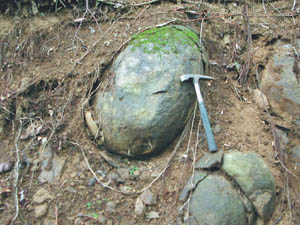 登山道沿いのタマネギ石