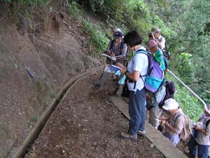 中礫からなる礫岩層は砂岩層を挟む