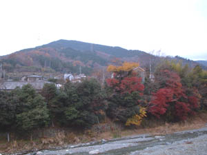 寄バス停前からシダンゴ山を望む