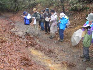 床面に露出した風化した御殿峠礫層を観察する（絹の道）