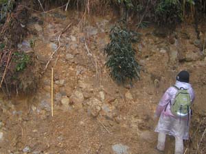 御殿峠礫層(低位面構成層）を観察する（絹の道資料館北）