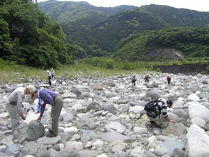 谷峨の河原で石の観察