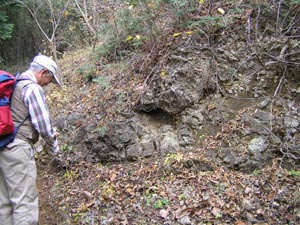 輝石安山岩溶岩の露頭