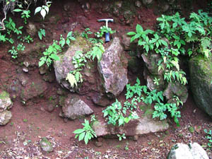 高温で酸化した火砕岩