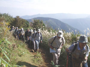 尾根沿いのススキの登山道