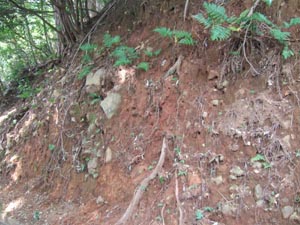 湯河原火山の噴出物