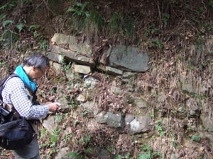 湯河原火山の溶岩
