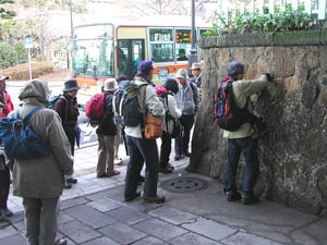 高麗山層の石垣
