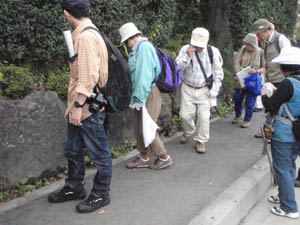 庭石の相模湖層群を観察