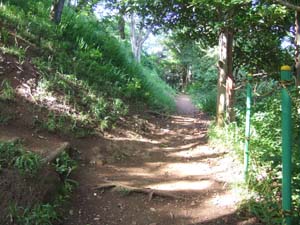 かっての波食台だった高麗山層が露出している