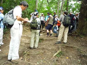 登山道の地層を白色凝灰岩岩が50 m続く
