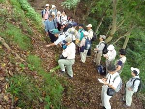 かつて湘南平が波食台だった証拠を示す礫を探す
