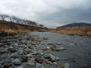 中津川の河原は丹沢山地由来の凝灰岩と溶岩類のみからなる(愛川町田代  中津川河原)