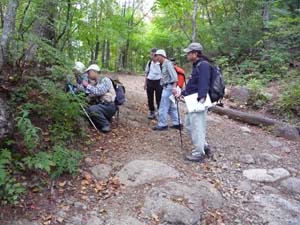 登山道入口より1.5 kmほど歩くと、円礫ばかりの三ツ峠礫岩層に変わってきた（三ツ峠登山道）