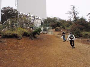 三ツ峠山直下の急な斜面を登る