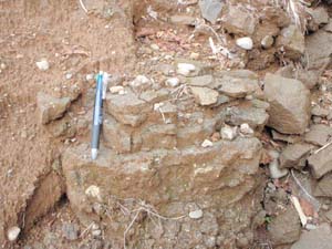 三ツ峠礫岩層に挟まれる縞状の粗粒砂岩層（三ツ峠山直下）