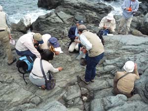 流理の発達した無斑晶質の縞状安山岩質玄武岩の露頭