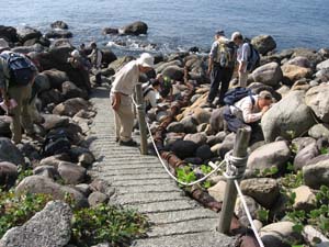深海底総合観測ステーションへ伸びる海底ケーブル