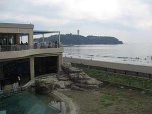 新江ノ島水族館より江ノ島を望む