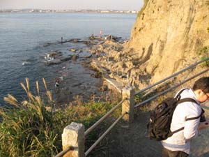葉山層群の波食台露頭と乗船場を望む