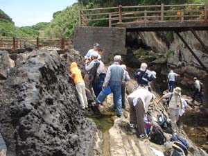 急傾斜したスコリア凝灰岩を観察する（城ケ島西岸）
