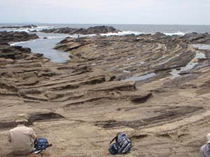 馬蹄形に変形した褶曲軸付近の三崎層（城ヶ島南西岸）