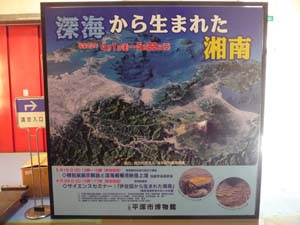 震災後に開催された春期特別展「深海から生まれた湘南」