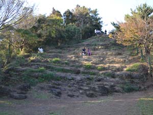 天園北の大平山頂上は浦郷層の露頭が階段状に露出する
