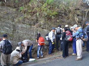 ゴルフ場脇に見られる浦郷層中のガーネット火山灰を探す