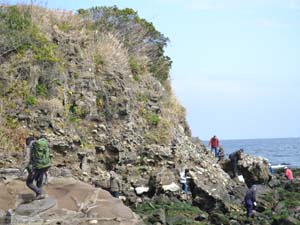 オイモノ鼻に露出する浦郷層を観察する