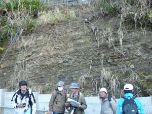 鎌倉第一中学校裏の逗子層の露頭