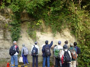 銭洗弁天の近くに露出する池子層を観察する