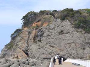 江ノ島南東海岸にみられる葉山層群と隆起波食台を覆うローム層