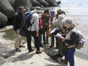 江ノ島南東岸で波食台高度を調べる